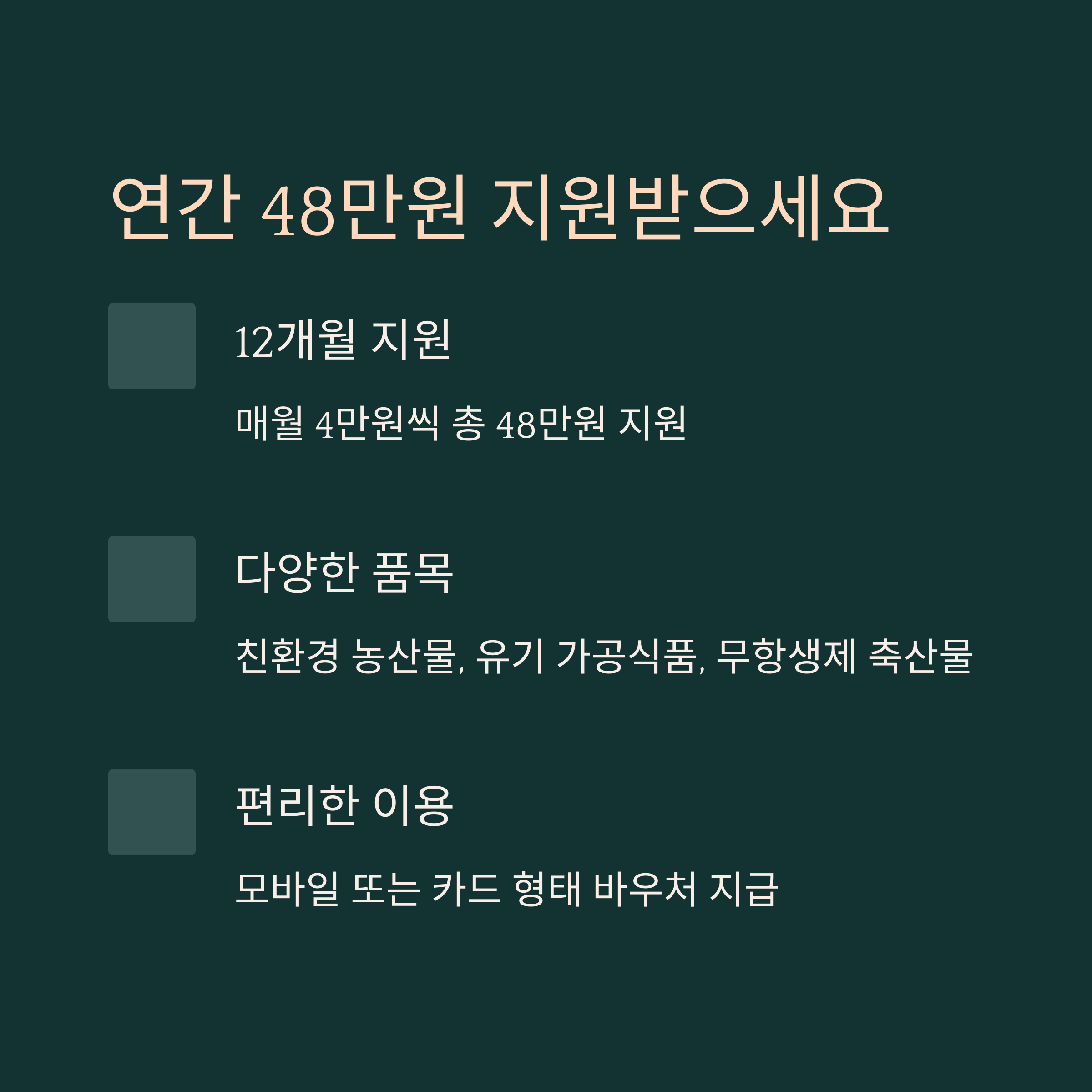 연간 48만원 지원 내용과 품목, 이용 방법 요약