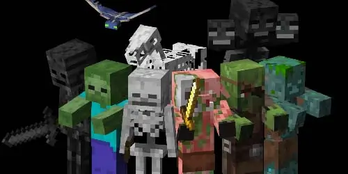 kill 명령어를 사용하면 적대적인 몬스터들을 포함하여 원하는 몹들을 제거할 수 있다.