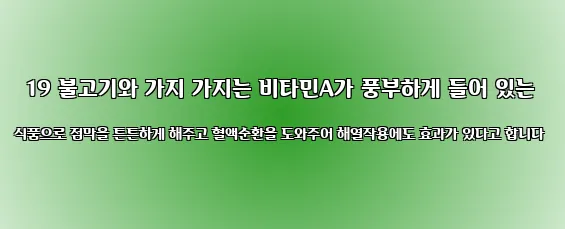  19 불고기와 가지 가지는 비타민A가 풍부하게 들어 있는 식품으로 점막을 튼튼하게 해주고 혈액순환을 도와주어 해열작용에도 효과가 있다고 합니다