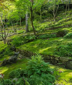 화담숲 테마별 사진