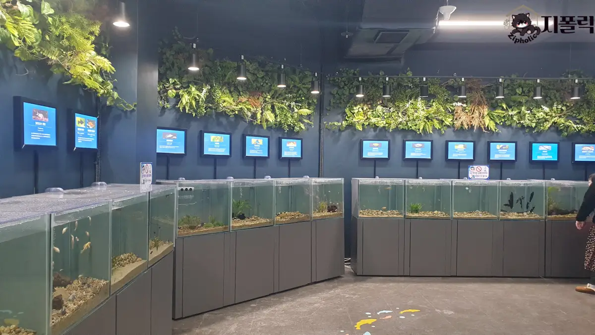 충북아쿠아리움-2층-열대어류관 (2)