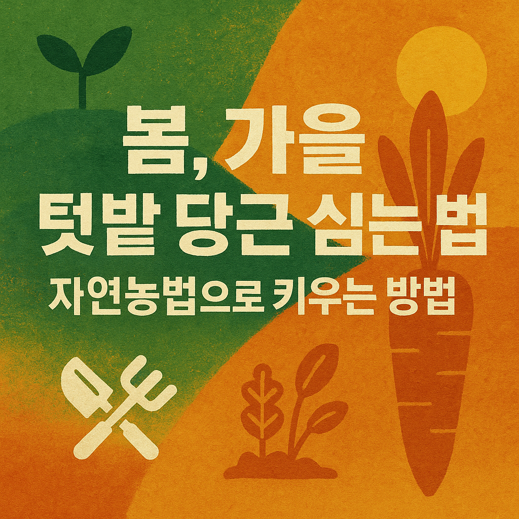 봄,가을 텃밭 당근 심는 법