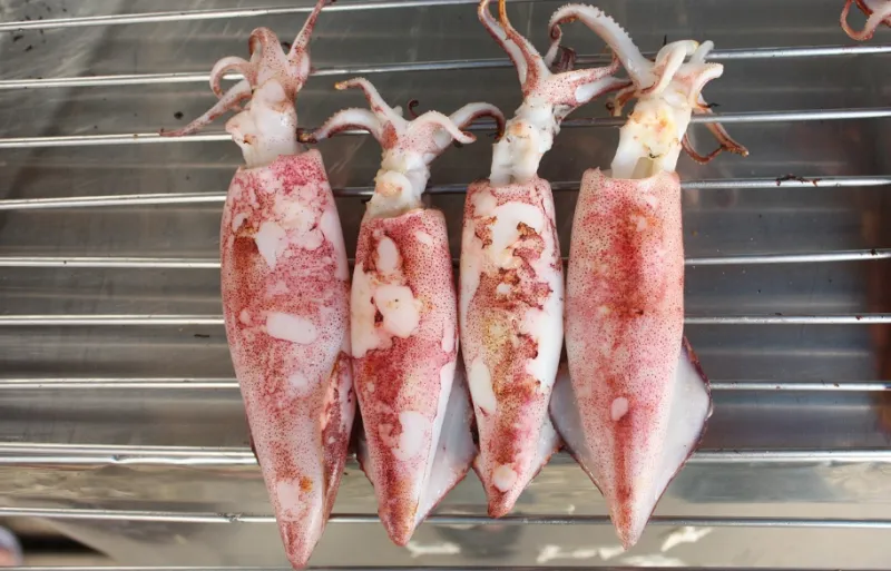 다이어트 중 닭가슴살 대체 식품은? - 6