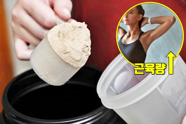 유청단백질 효능, 체지방 빼는 식단, 체지방 분해 식품, 다이어트 피트니스 건강, 팁줌 매일꿀정보