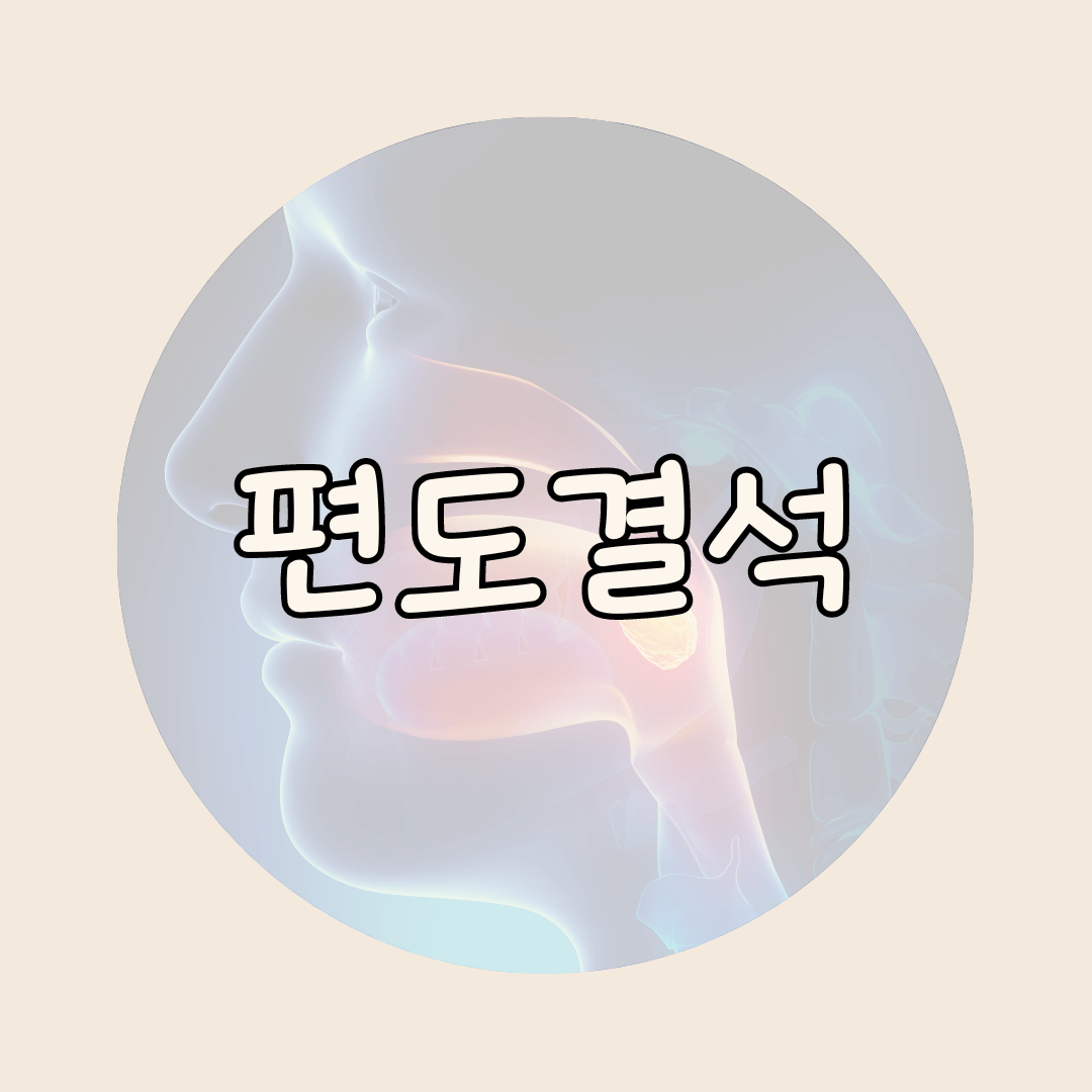 편도결석