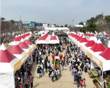 논산딸기축제_7