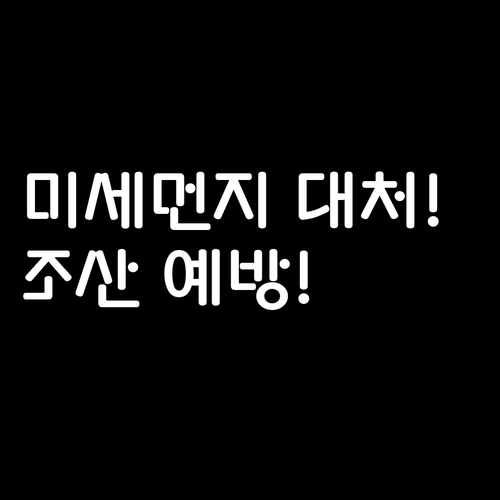 임산부를 위한 미세먼지 완벽 대처법 ..