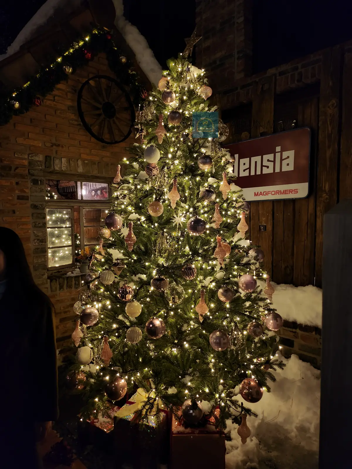 여주-루덴시아-트리-2