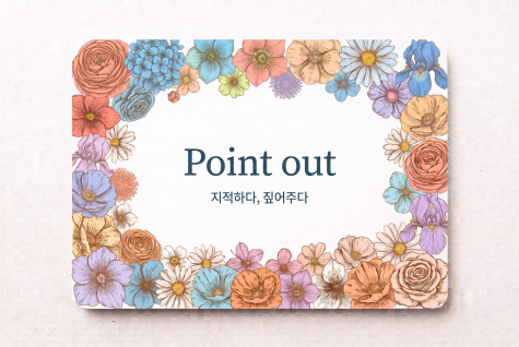 Point out 지적하다