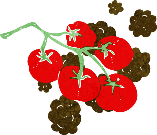 도시형 스마트팜: 작은 공간에서 최적의 생산량을 얻는 방법