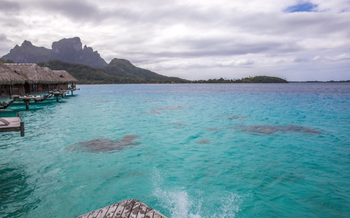 보라보라 신혼여행