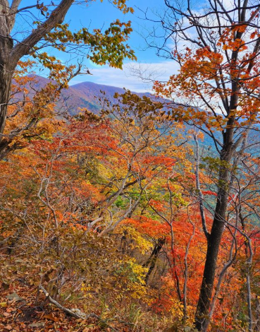 2025 가을 경상도 단풍 명소 산행 추천 ❘ 주왕산&middot;가야산&middot;팔공산 절정 시기