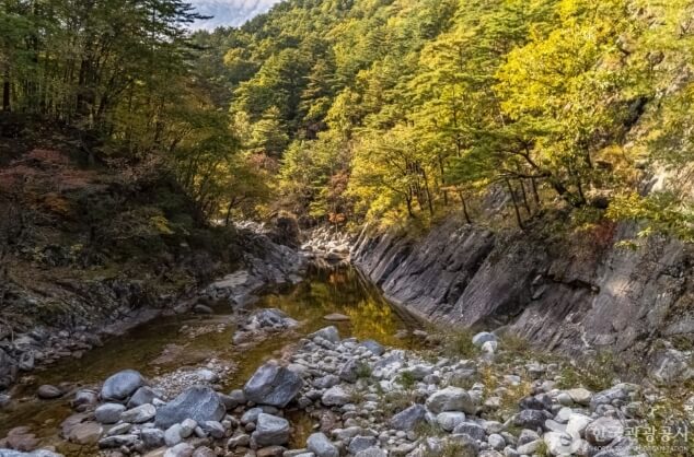 강릉 가볼만한곳 베스트 10