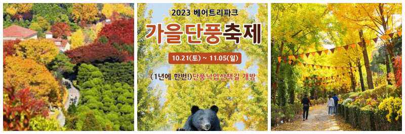 베어트리파크 단풍축제 포스터&#44; 사진