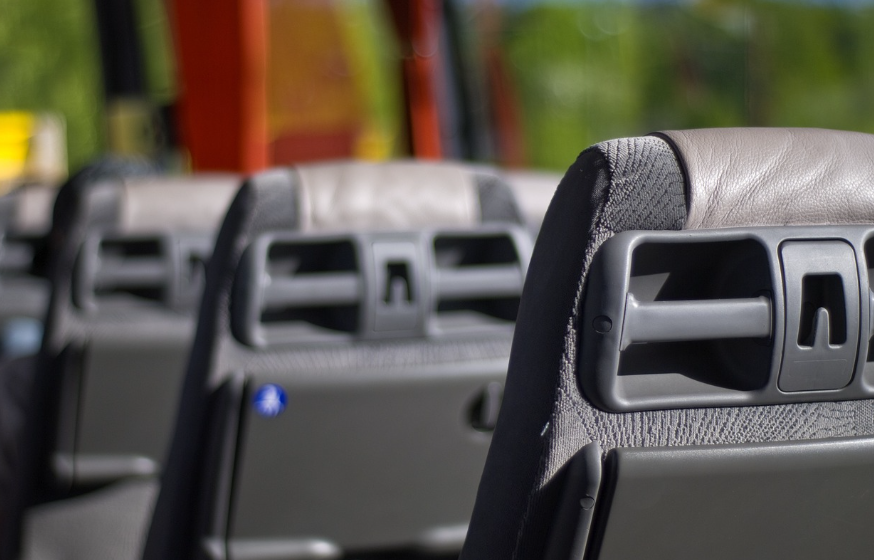 2025 진해군항제 셔틀버스&amp;#44; 볼거리&amp;#44; 벚꽃개화 시기 총정리