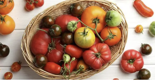 미니멀리즘 덜 먹는 것이 건강함