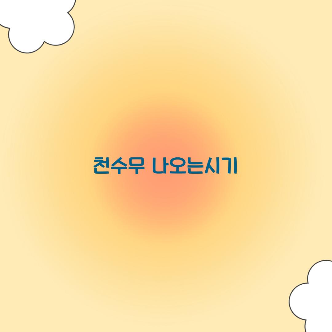 천수무 나오는시기