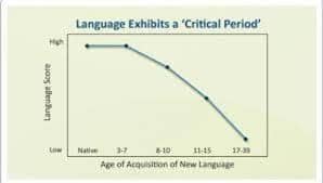 비판적 시기 가설