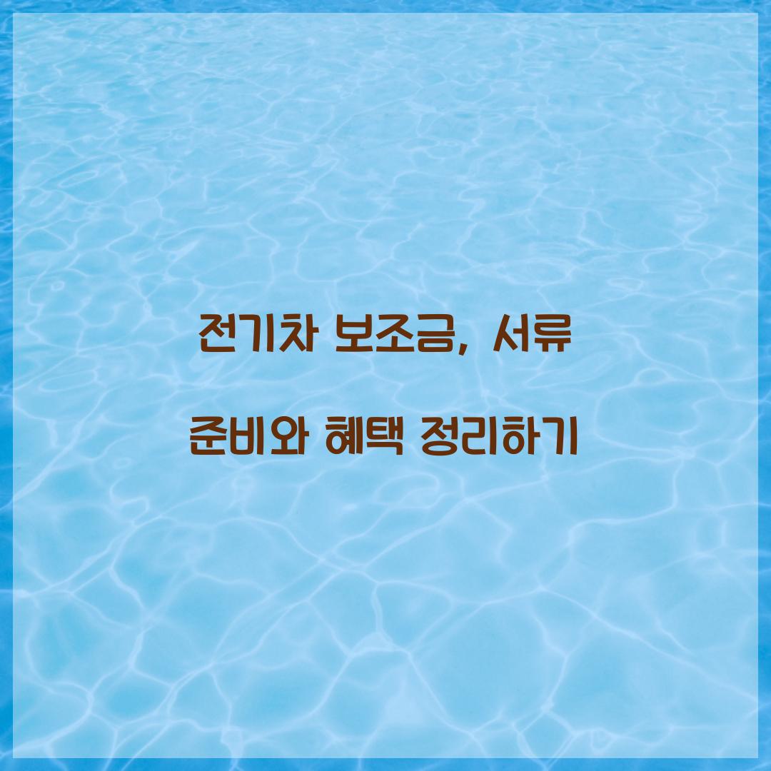 전기차 보조금