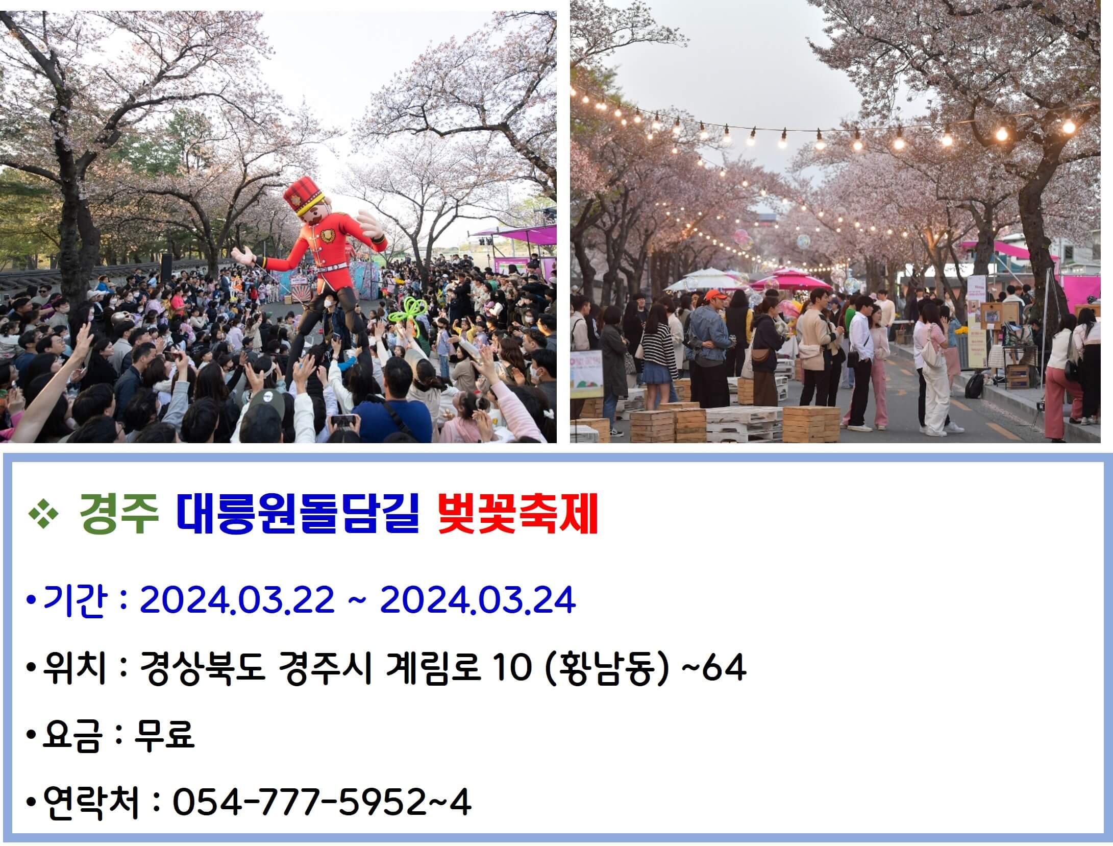 경주 대릉원돌담길 벚꽃축제