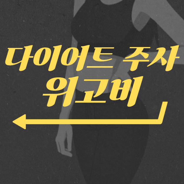 다이어트 주사 위고비