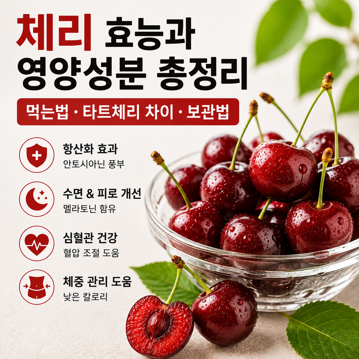 체리 효능