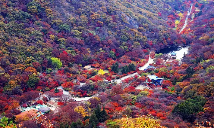 내장산 