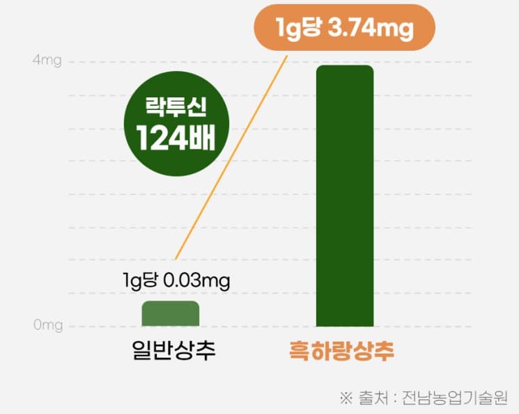 흑하랑-상추