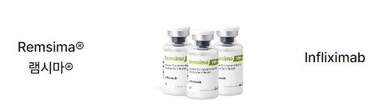 케미컬의약품 부문