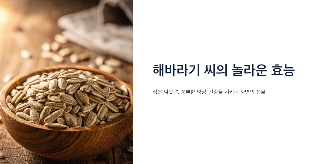 해바라기 씨 효능 대표이미지