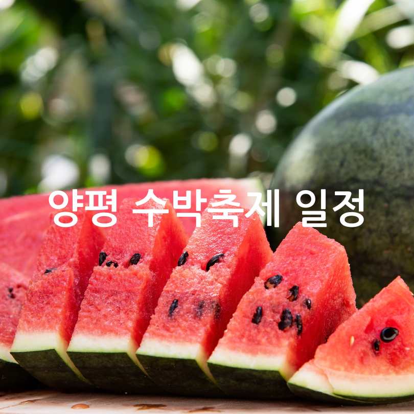 2025 여름 양평 수박축제 : 서울 근교 여행&amp;#44; 축제