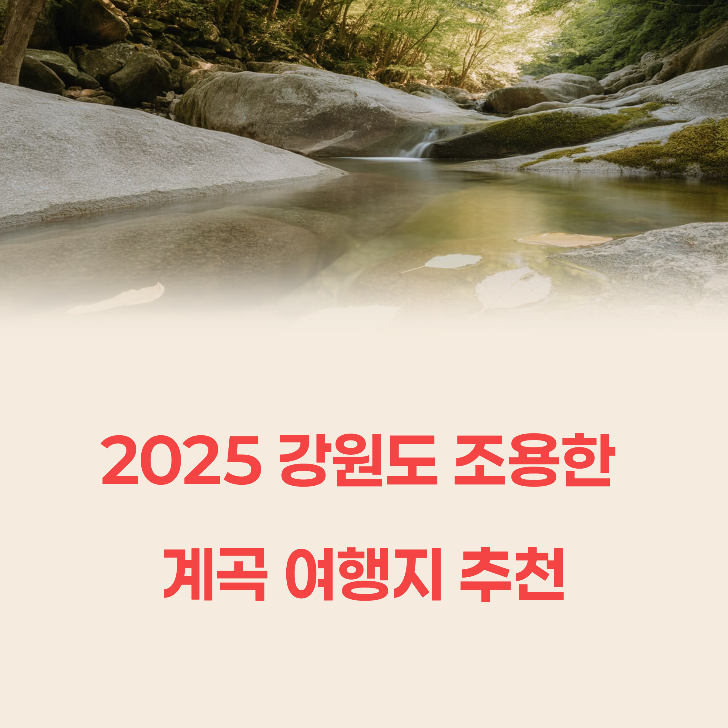 2025 강원도 조용한 계곡 여행지 추천