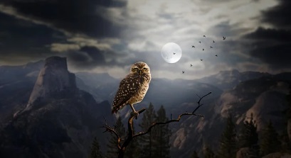 할로윈데이 유래 전통 코스튬 트릭오어트릿