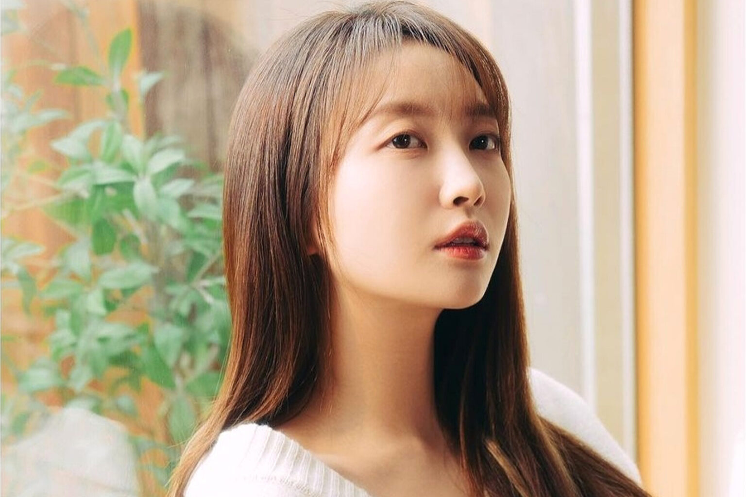 펀치