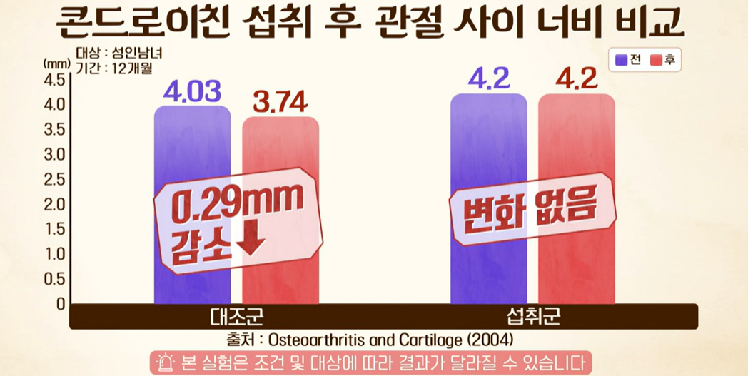 콘드로이친 효능