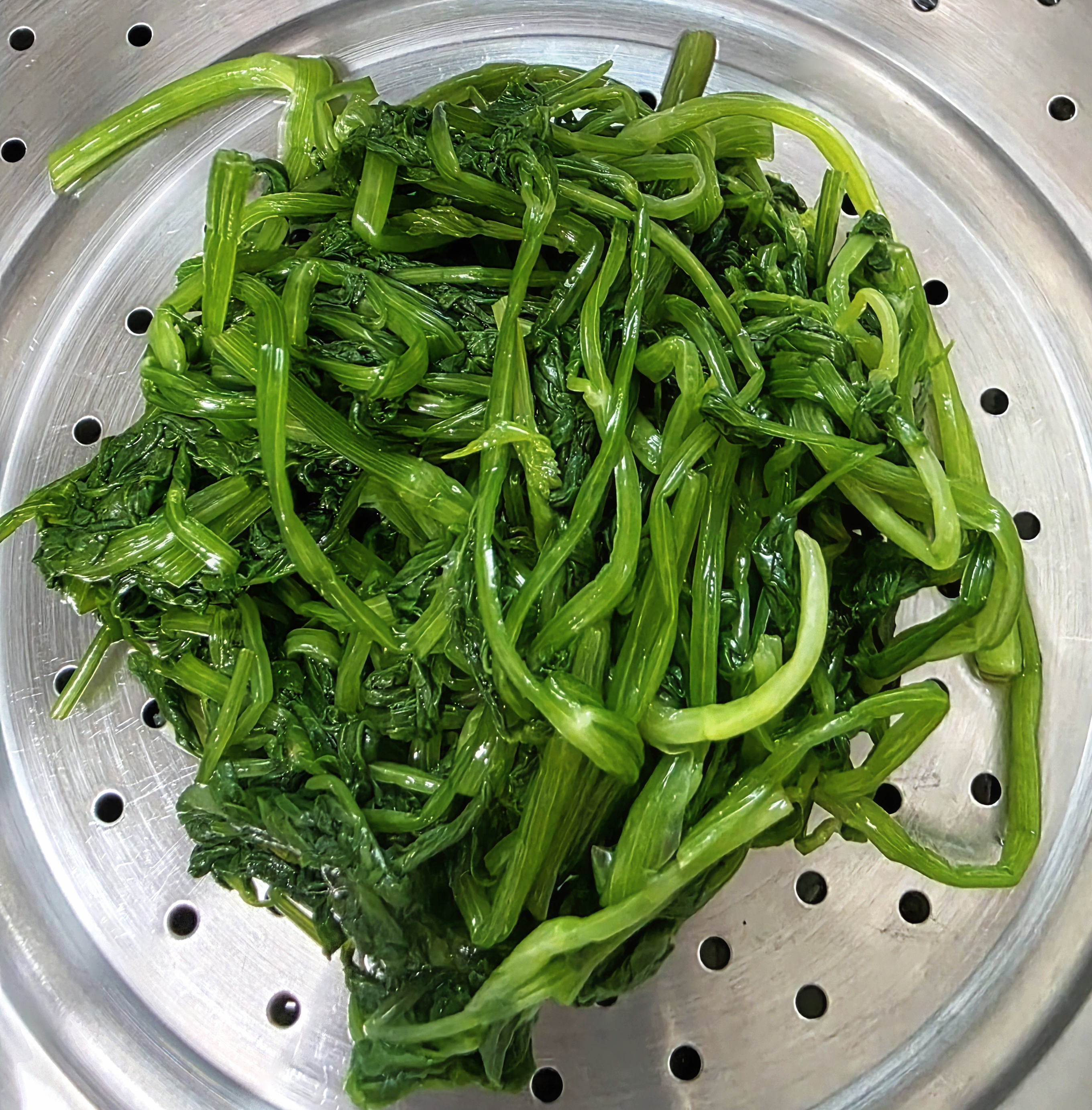 물기를-짭니다.