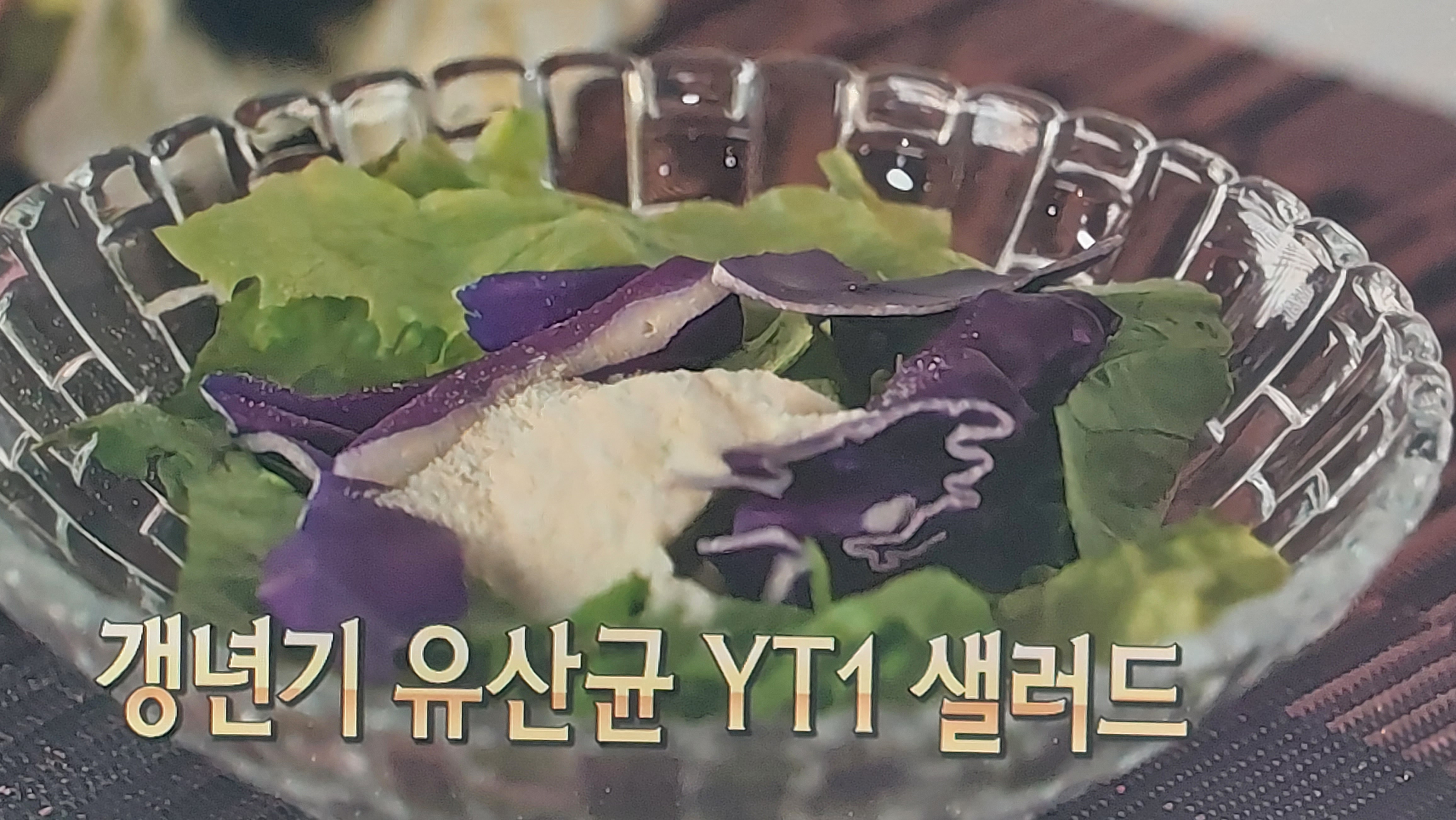 갱년기 유산균 yt1