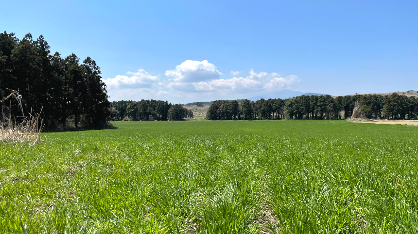 비밀의 숲 목초지4