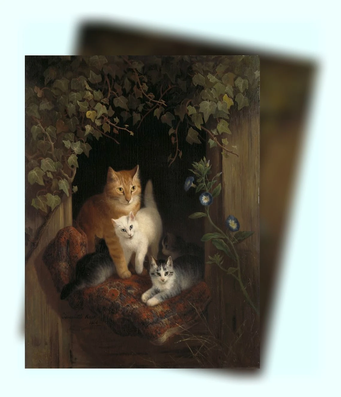 새끼 고양이 영양 간식_1_subsection