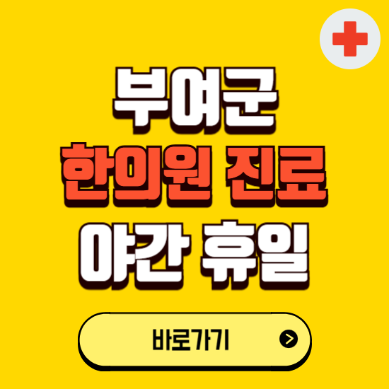 부여군 야간 휴일 한의원 한방병원 찾기 ❘ 24시 일요일 주말 연휴 응급진료 추천 잘하는 곳