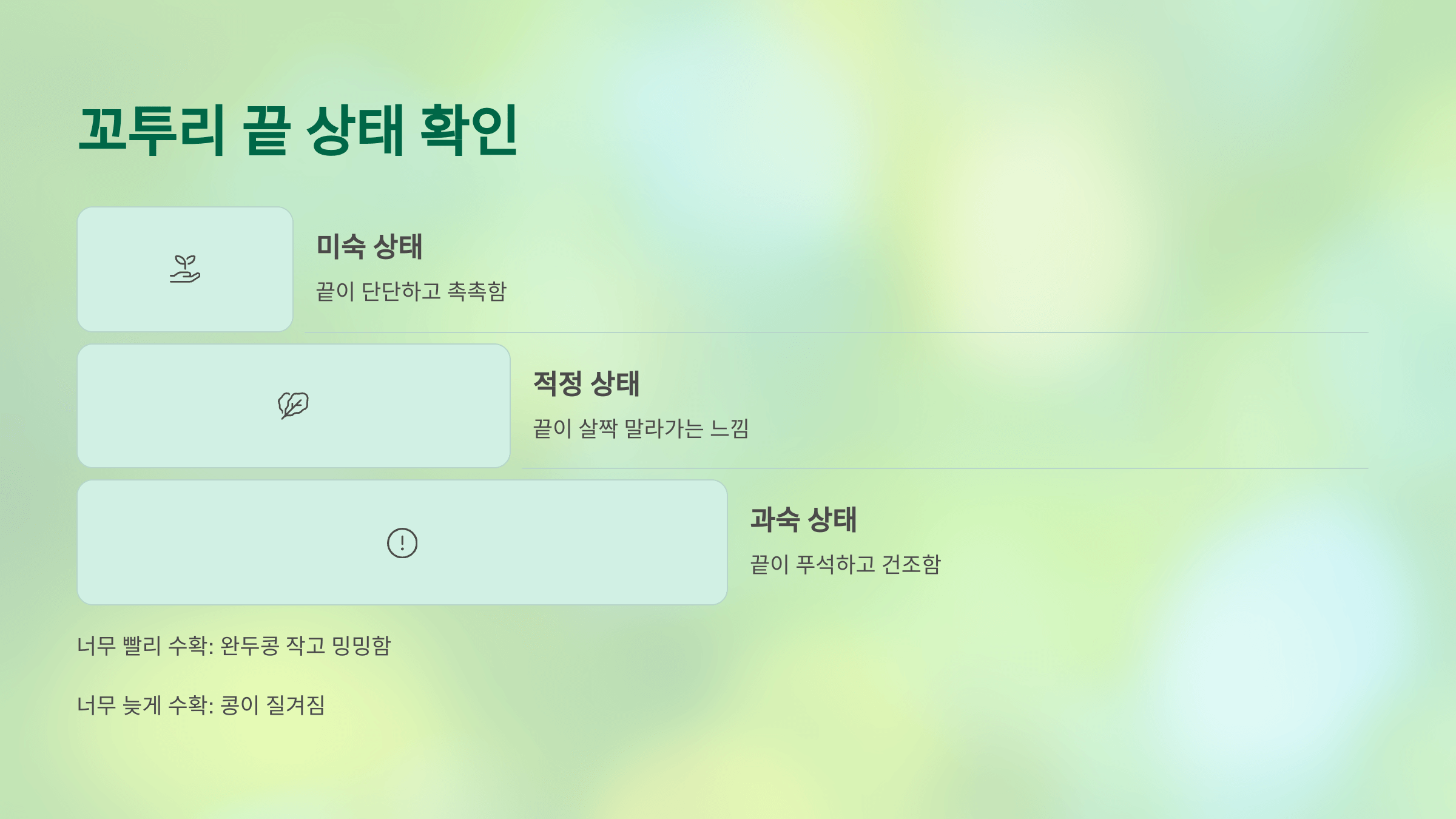 완두콩 사진입니다.