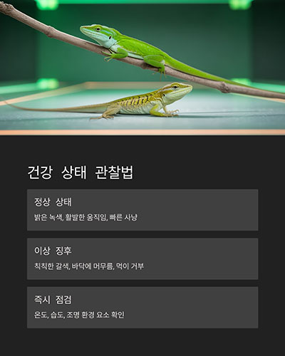 사육장 내 행동과 건강 상태 관찰하기