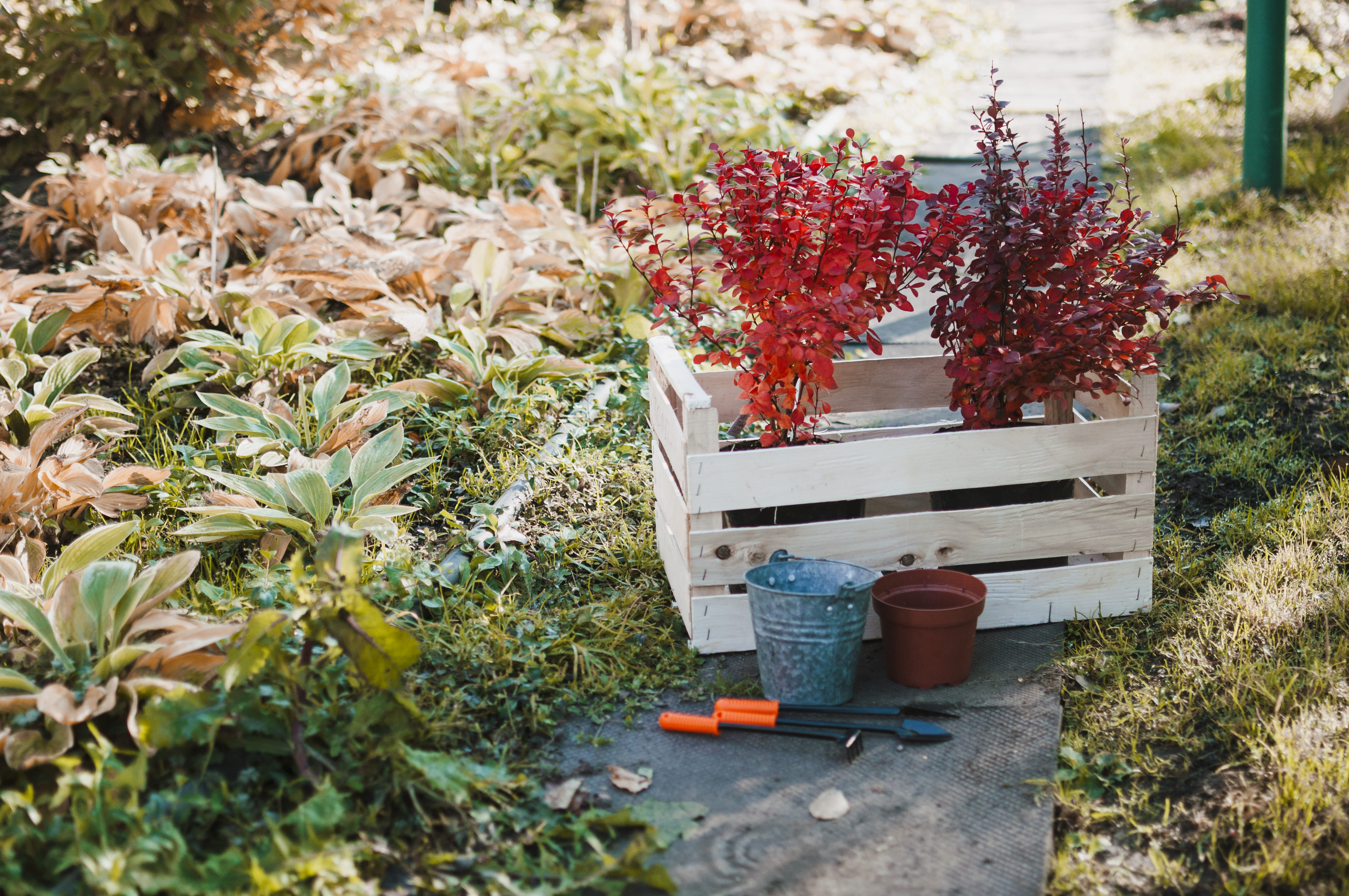 [농업]1평 공간으로 시작하는 미니 텃밭 가꾸기