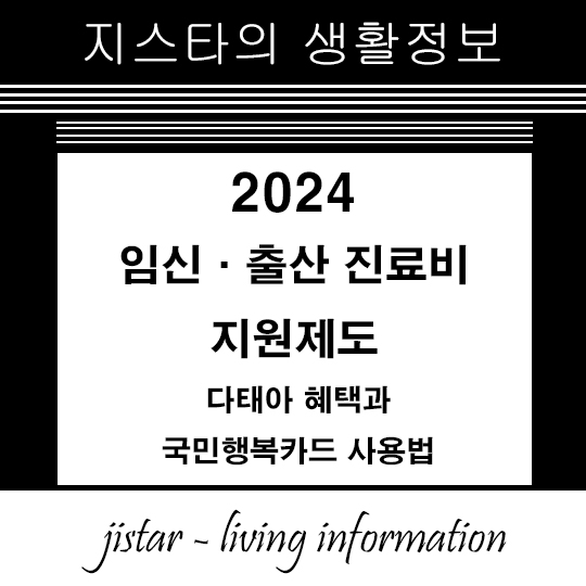 임신·출산 진료비 지원제도 - 2024 다태아 혜택과 국민행복카드 사용법