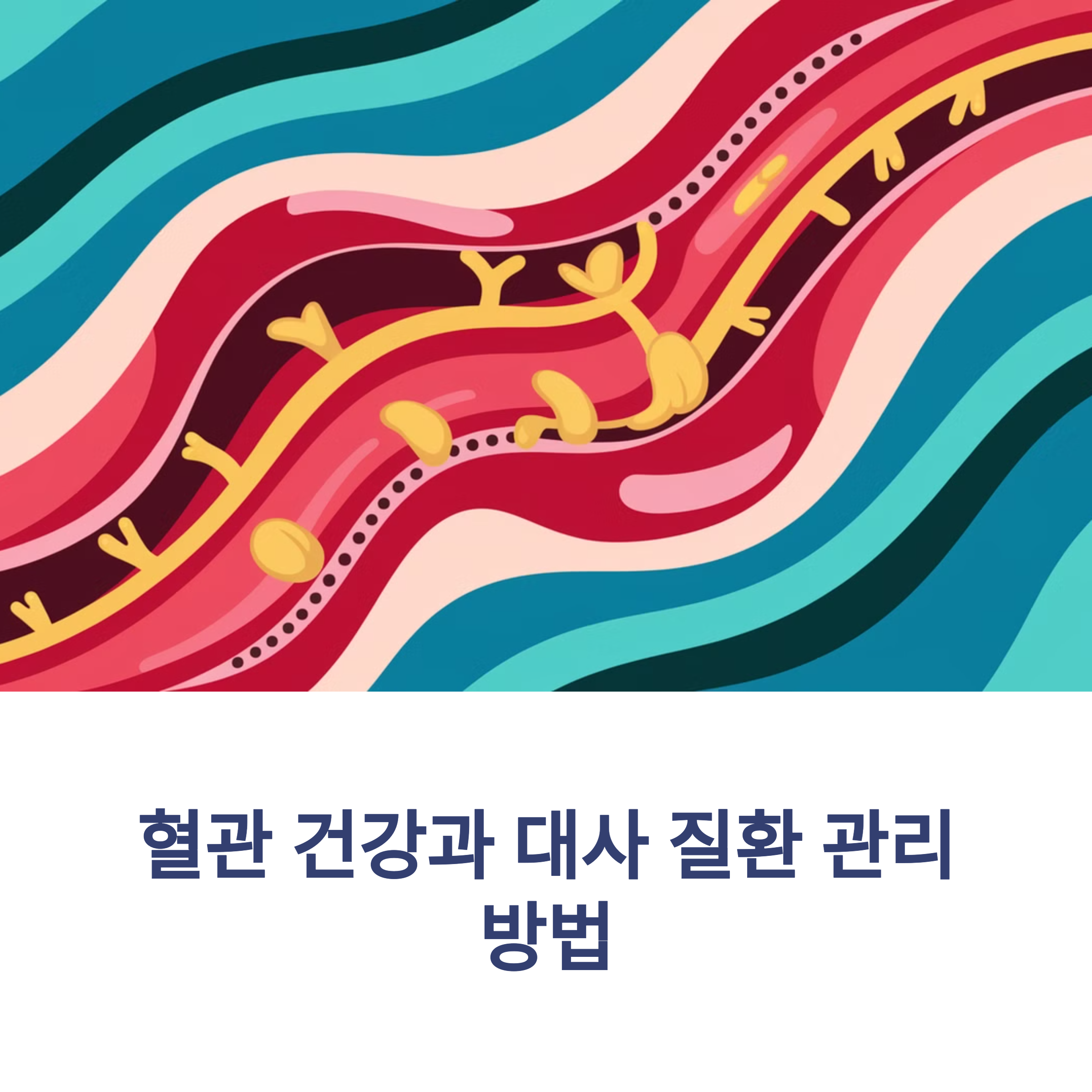 혈관 건강과 대사 질환 관리 방법