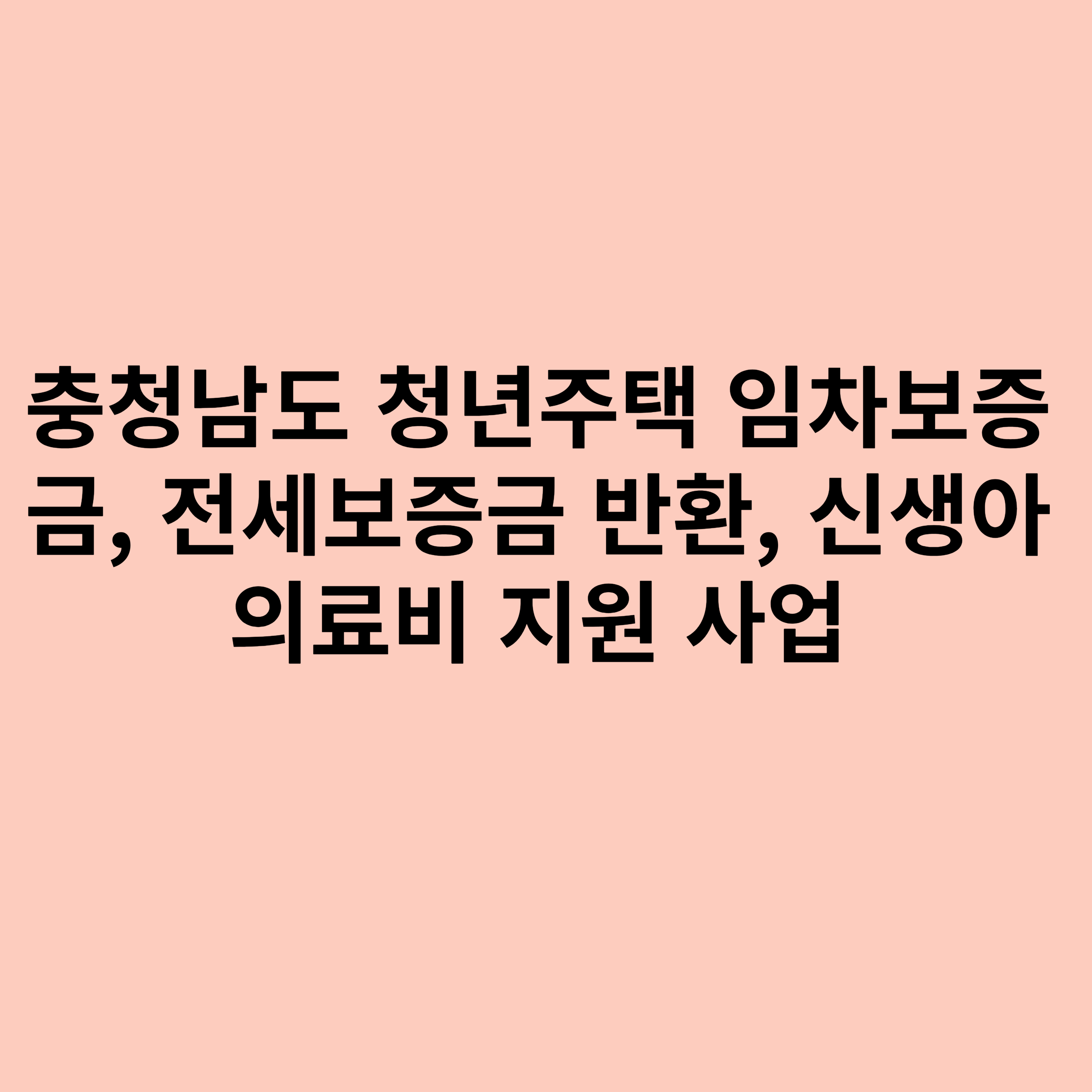 충청남도 거주자들을 위한 지원제도를 안내하는 내용입니다.
