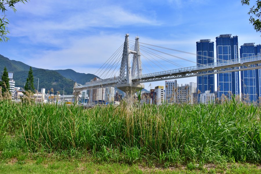 금빛노을브릿지