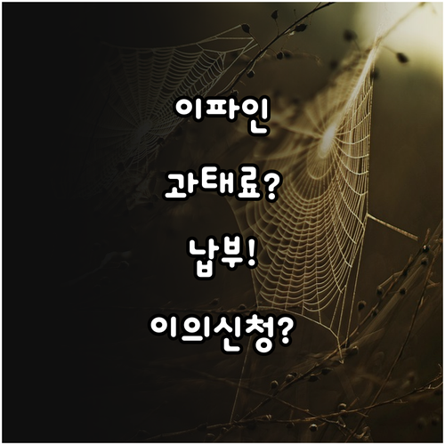 경찰청 이파인 과태료 범칙금 납부 절..