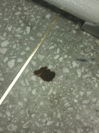 학교-복도-바닥에-똥싸고-도망간-모습