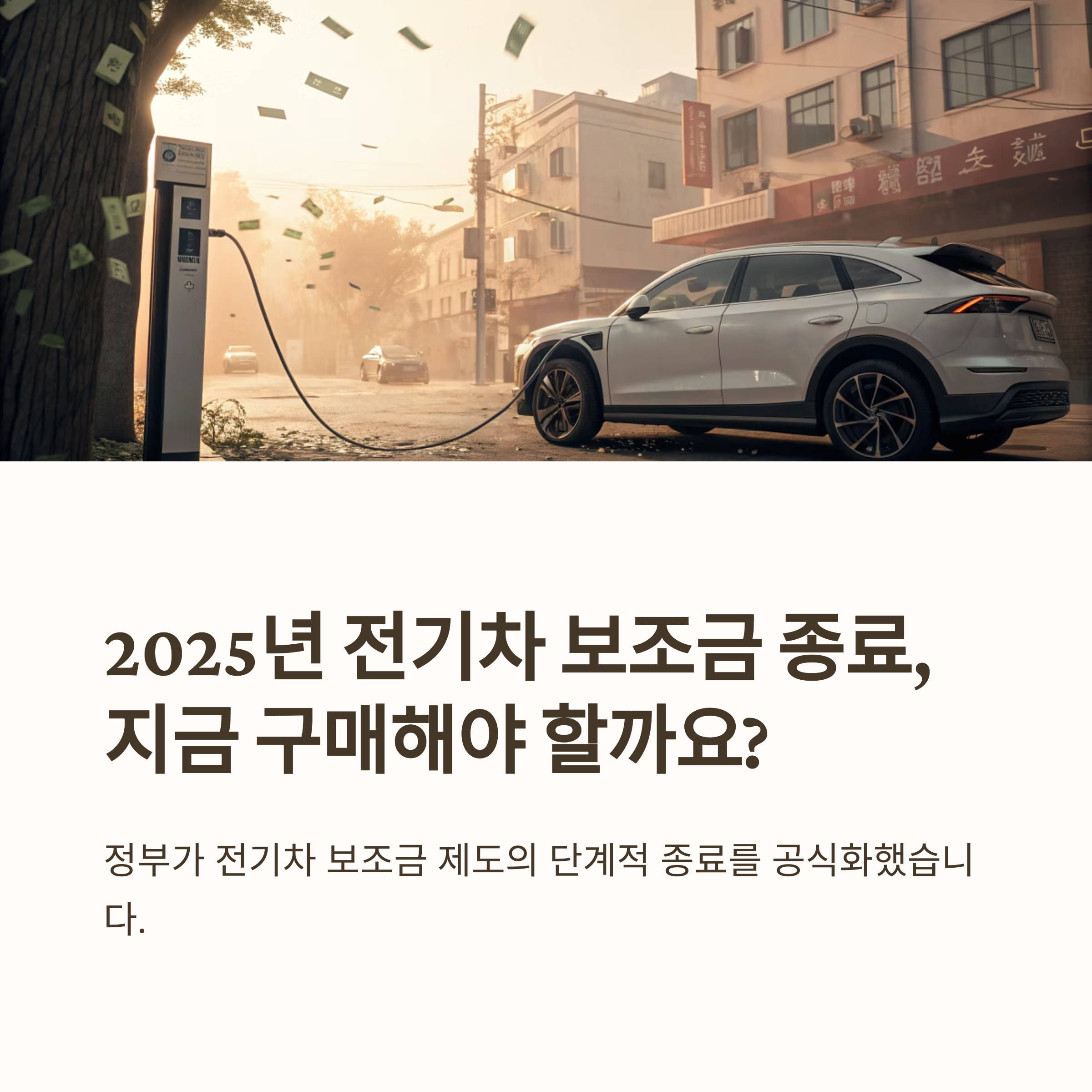 전기차 보조금